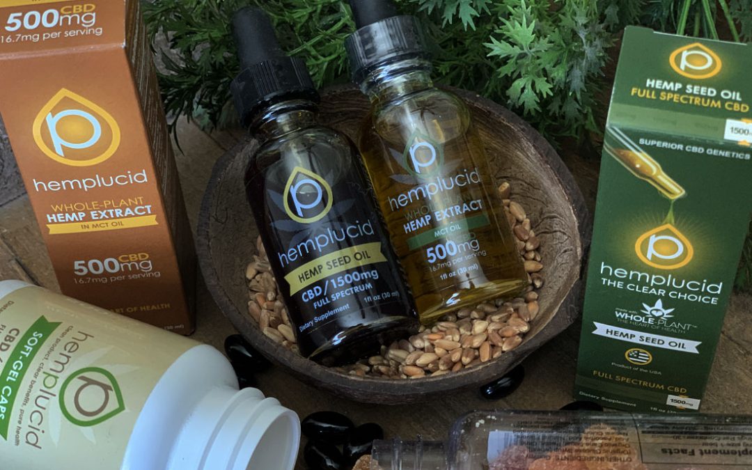 Building Hemplucid—From Concept to $4M/Month Without Paid Ads